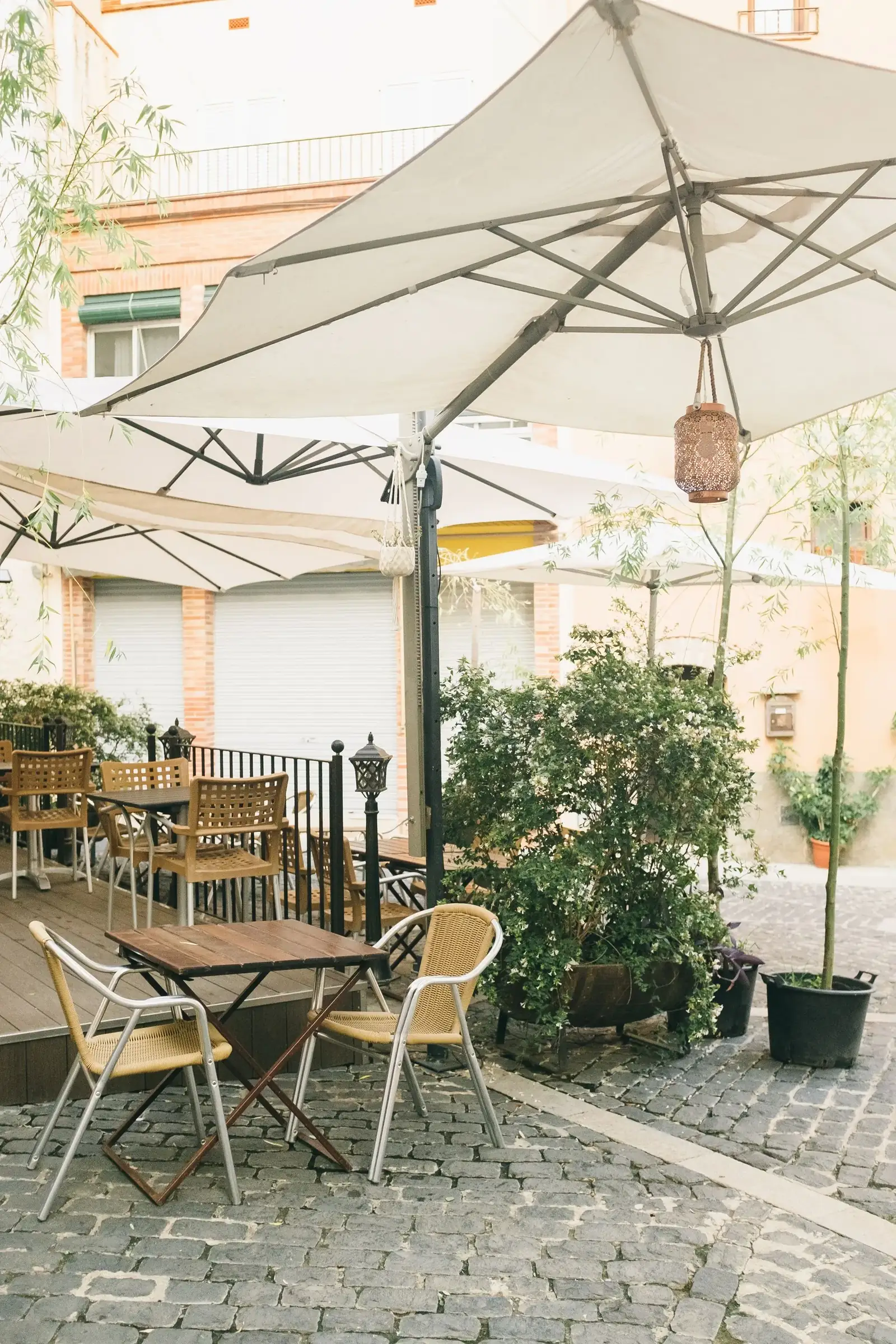 Terrasse des Hofcafe mit Tischen unter Sonnenschirmen